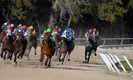 Top 10 Ultimate Horse Races in the World