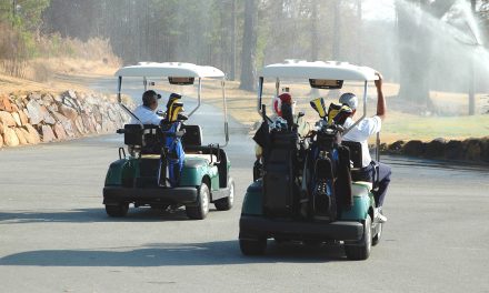 5 Things to Consider to Choose the Right Battery for Your Golf Cart