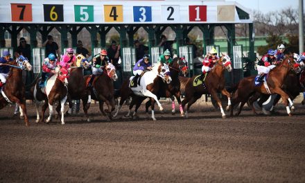 Top Thoroughbred Racetracks in Florida and Tips for your First Thoroughbred Experience