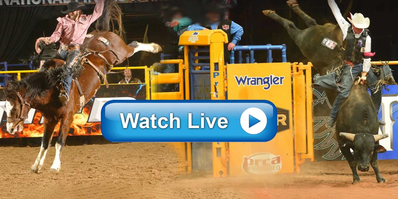 How To Watch 2019 National Finals Rodeo Live Stream Online Free