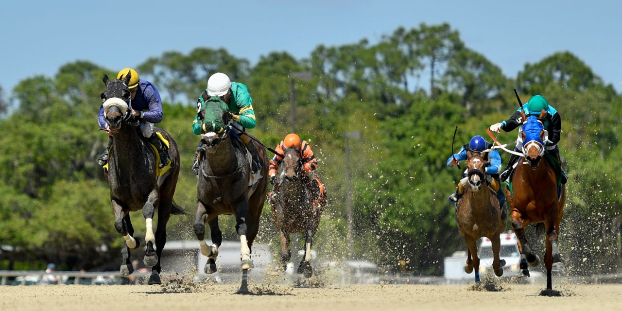 Top Ten Jockeys In Australia And the Legendary Horses They Rode