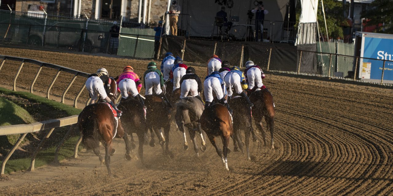 Planning for Horse Race Bets: Rules that you have to Follow