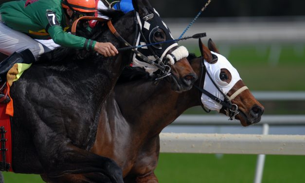 Four Intriguing Long Shots Who Could Challenge for the Kentucky Derby