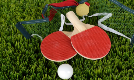 Exciting Sports You Can Play in Your Backyard